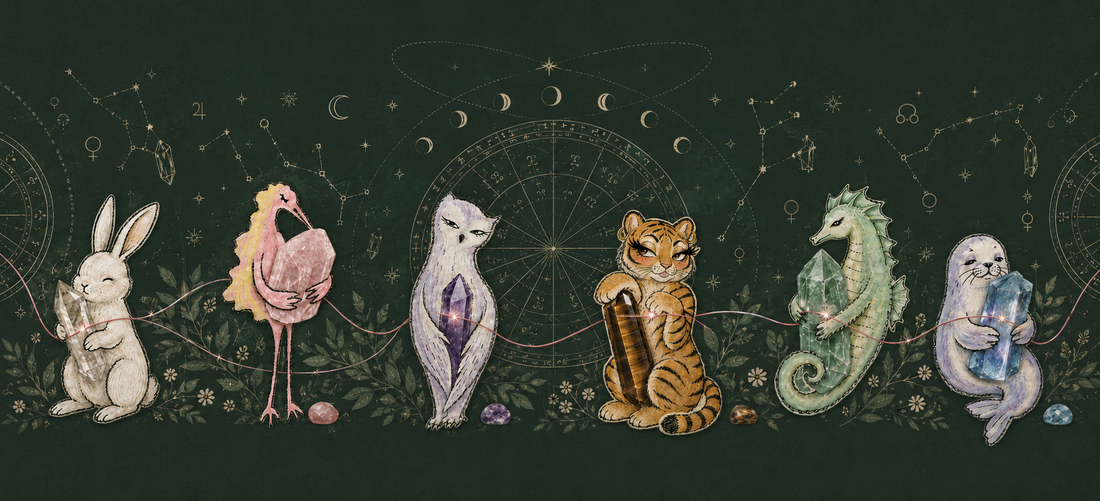 Feng Shui Crystals Placement Guide for Your Home