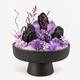 Violet Sanctuary · Midnight Garden