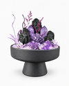 Midnight Garden（Plus Size）