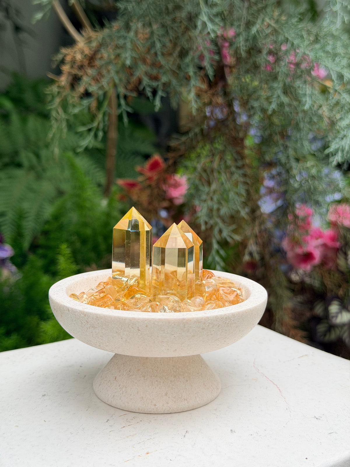 Premium little Garden