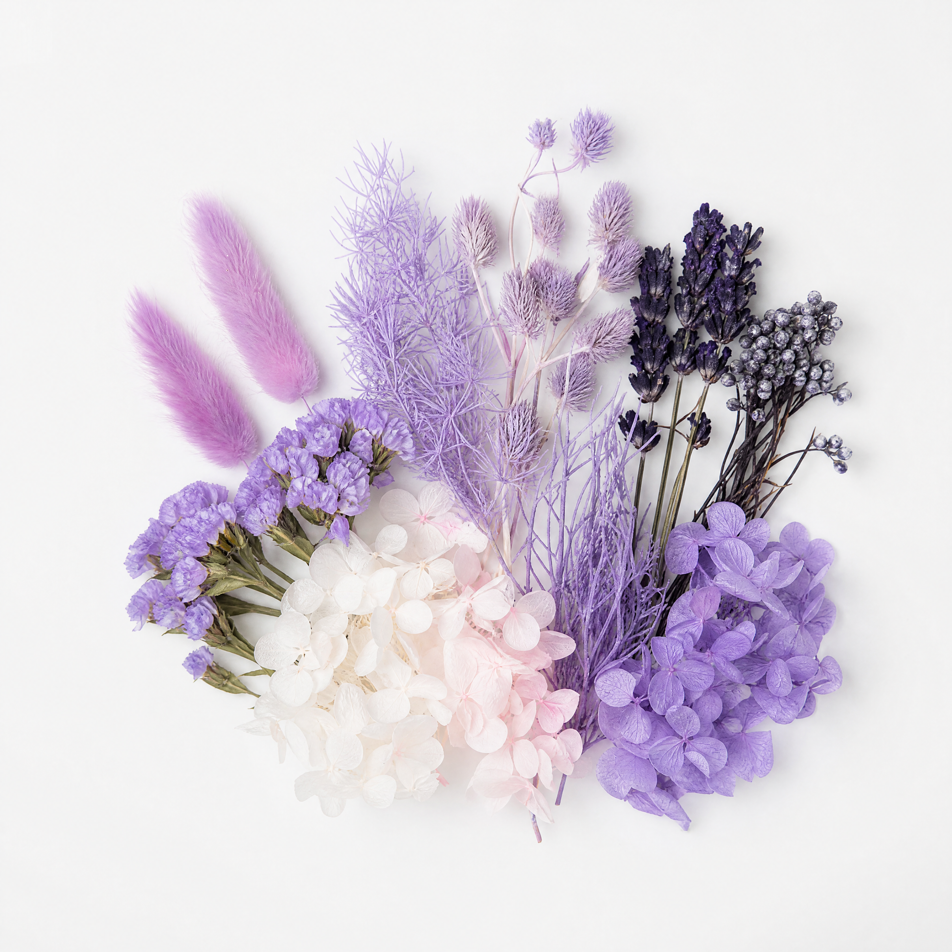 Lavender Daydream