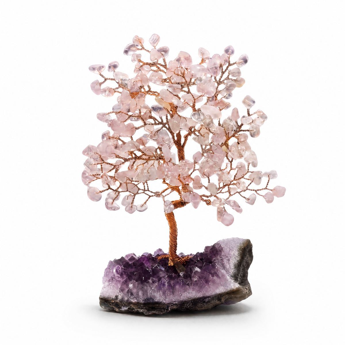 Canopy - Intention Tree