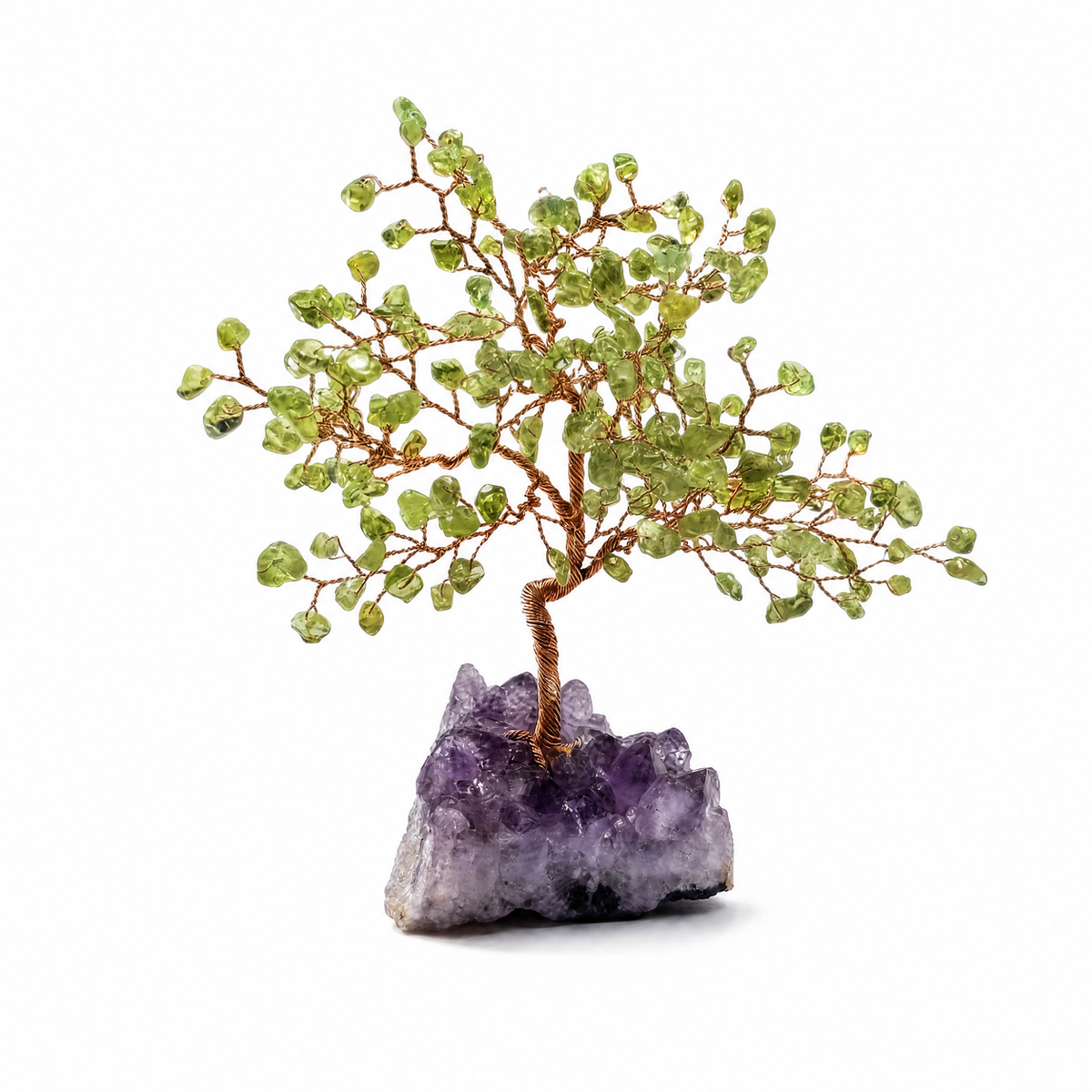 Canopy - Intention Tree