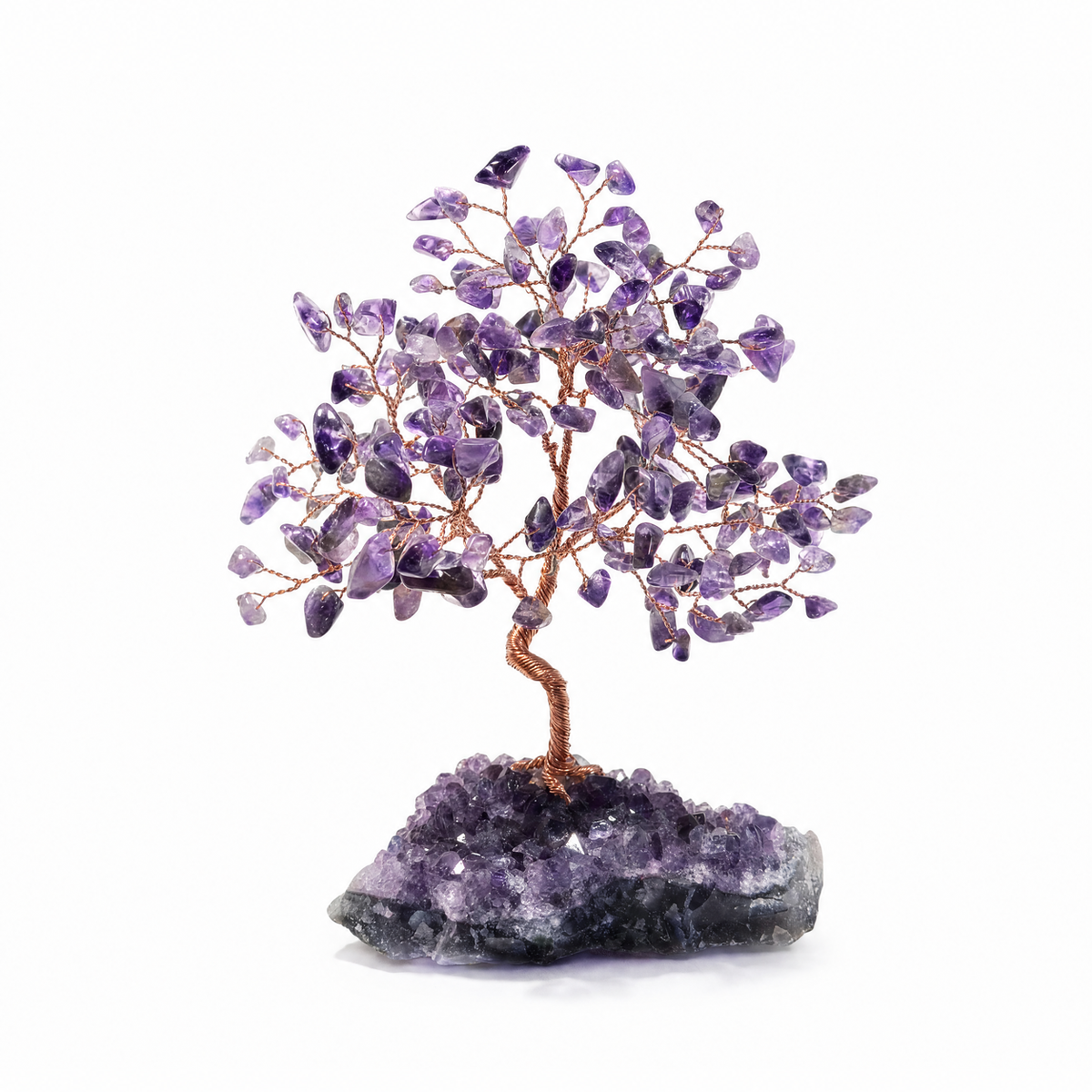 Canopy - Intention Tree