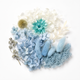 Glacier Bloom