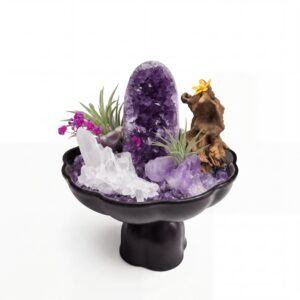 Amethyst Serenity Grove